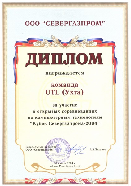 Диплом за участие в открытых соревнованиях по компьютерным технологиям 