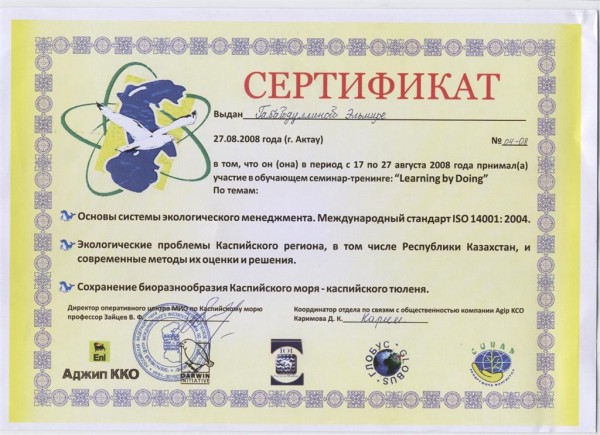Сертификат семинара-тренинга «Learning by Doing»