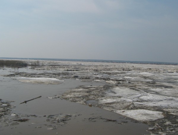 12:00 29.04.2010 Место впадения р. Ушайки в  р. Томь